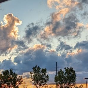 Meet your Posher, Izzy